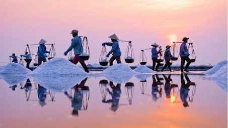 Phân tích hiệu quả tài chính của diêm hộ sản xuất muối ở tỉnh Bạc Liêu