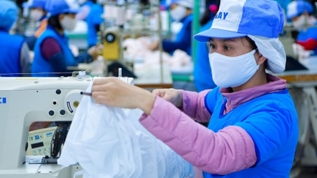 Cổ phiếu Dệt kim Hà Nội chào sàn UPCoM