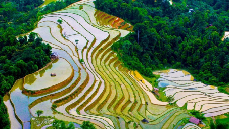 Ruộng bậc thang Hoàng Su Phì mùa nước đổ