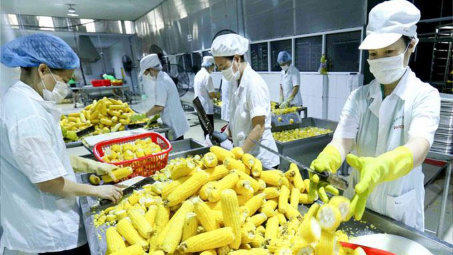 Đề nghị Trung Quốc mở cửa cho nhiều loại nông sản Việt, hướng tới chính ngạch