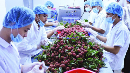 Hiệu quả công tác xúc tiến xuất khẩu các mặt hàng nông sản