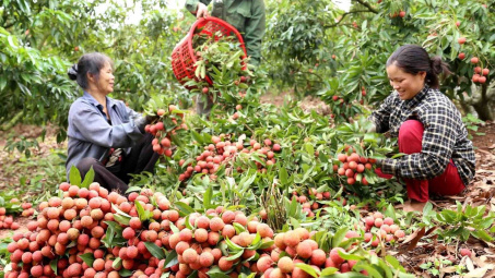 Việt Nam mở rộng xuất khẩu nông thủy sản, thực phẩm vào Singapore