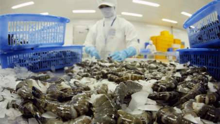 Từ 1/7, Úc chính thức áp dụng điều kiện mới với tôm nhập khẩu