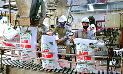 Năm 2019 Đạm Ninh Bình tăng trưởng gấp 1,4 lần năm 2018