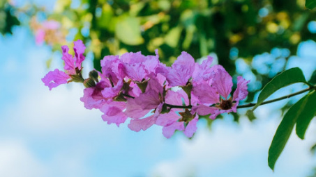 Thời tiết 9-5: Nắng nóng ban ngày, chiều tối có mưa rải rác