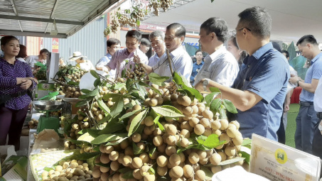 Tạo thuận lợi cho doanh nghiệp, Bộ Công Thương yêu cầu ứng dụng công nghệ trong xúc tiến thương mại