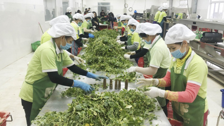 Giao thương trực tuyến, "bắc cầu" đưa nông sản Việt sang Sơn Đông, Trung Quốc