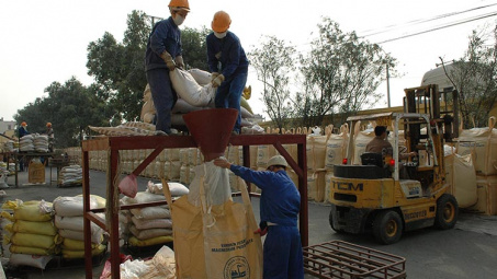 Sản xuất lúa chất lượng cao không thể thiếu Phân bón Văn Điển