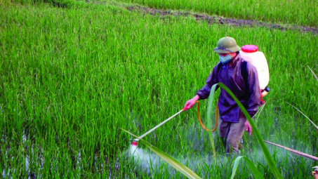 Vì sao cần sớm sửa đổi chính sách thuế phân bón?