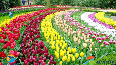 Đà Lạt - Thành phố ngàn hoa