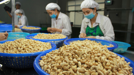 Xuất khẩu hạt điều mang về 1,24 tỷ USD trong 5 tháng đầu năm