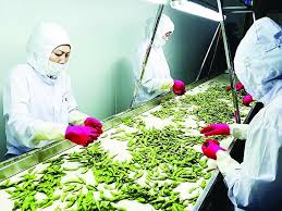 Một số rào cản kỹ thuật chủ yếu đối với  doanh nghiệp Việt Nam trong xuất khẩu nông sản