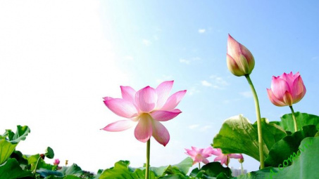 Thời tiết 22-6: Bắc bộ bước vào ngày nắng nóng đỉnh điểm