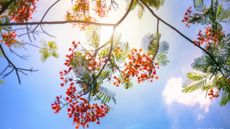 Thời tiết 23-6: Nắng nóng đặc biệt gay gắt bao trùm miền Bắc