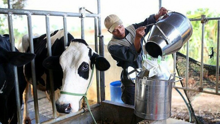 Việt Nam có thêm 2 công ty xuất khẩu sản phẩm sữa sang Trung Quốc