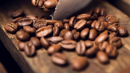 5 tháng, xuất khẩu cà phê đạt hơn 1,3 tỷ USD