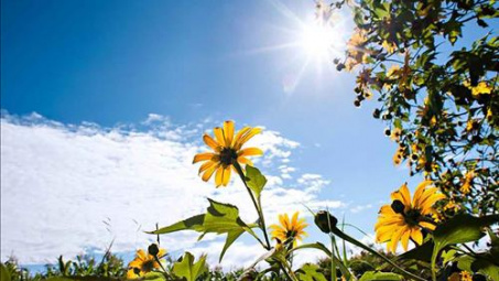 Thời tiết 28-8: Miền Bắc nắng nóng gay gắt vẫn tiếp diễn