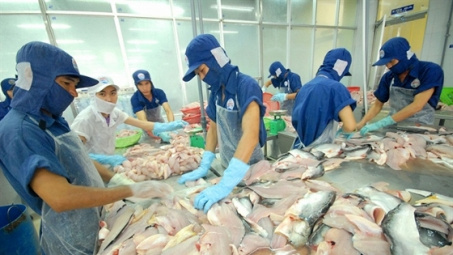 Làm giàu và tách EPA, DHA, OMEGA-3, 6, 9 bằng hệ dung môi sâu trên cơ sở Methanol/Urea khỏi hỗn hợp Methanol/Urea khỏi hỗn hợp methyl ester acid béo của mỡ cá basa phế thải