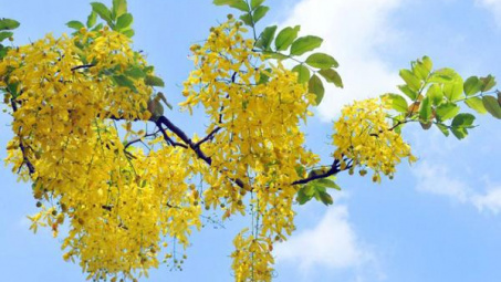 Thời tiết 29-6: Bắc bộ tiếp tục chuỗi ngày nắng nóng gay gắt