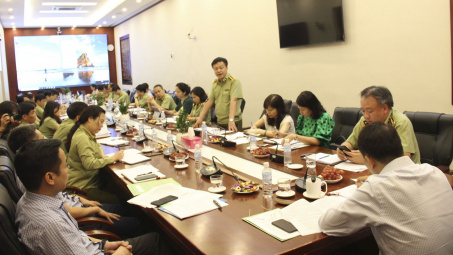 Giảm thêm 70 đội quản lý thị trường trong năm 2020