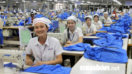 Xác định 5 trường hợp người lao động đang đóng bảo hiểm thất nghiệp