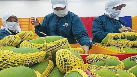 Phát triển công nghiệp chế biến nông sản