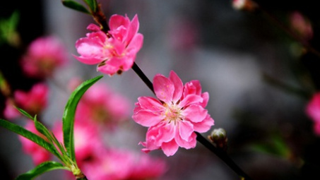 Thời tiết 7/2: Bắc Bộ duy trì nền nhiệt ấm, nhưng chuẩn bị đón không khí lạnh