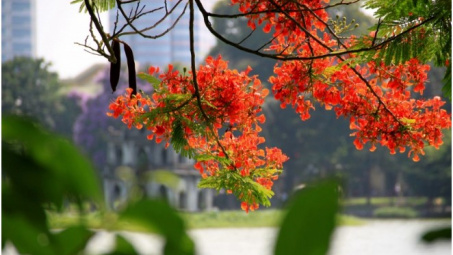 Thời tiết 30/4: Bắc Bộ giảm mưa, trời nắng