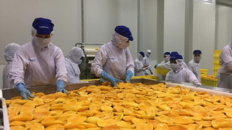 Xuất khẩu nông sản chế biến tăng vọt