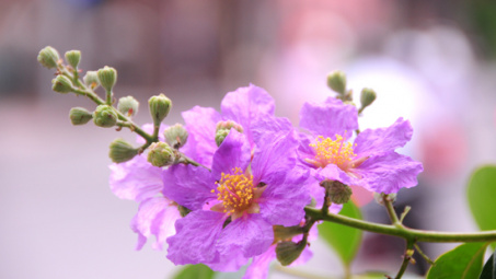 Thời tiết 9-6: Nắng nóng đỉnh điểm, nền nhiệt tăng cao