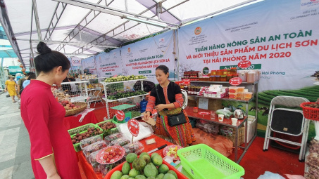 Saigon Co.op nỗ lực bao tiêu nông sản các tỉnh phía Bắc