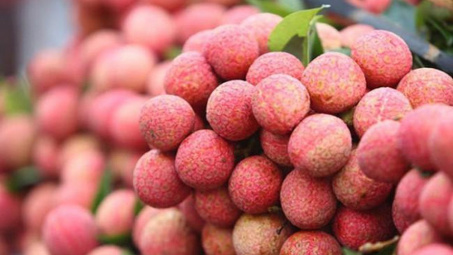 Người dân Singapore "phải lòng" trái vải thiều Việt Nam từ cái nhìn đầu tiên