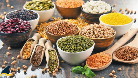 FAO: Sản lượng ngũ cốc toàn cầu sẵn sàng đạt kỷ lục mới