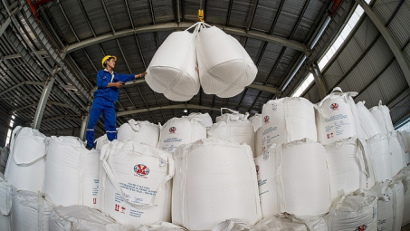 Nhôm Đắk Nông - TKV: Đảm bảo việc làm cho 1.207 lao động