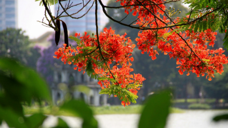 Thời tiết 16-7: Bắc bộ bước vào ngày nắng nóng đỉnh điểm