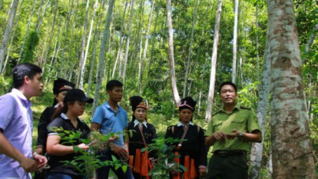 5 tiêu chí chuyển mục đích sử dụng rừng tự nhiên sang mục đích khác