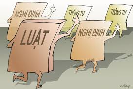 Vai trò của nghị định trong hoạt động quản lý hành chính nhà nước