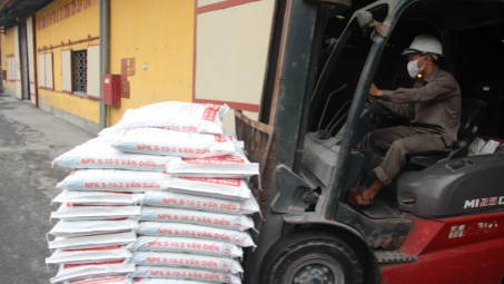 Phân bón Văn Điển giúp cây lúa Bắc Giang vượt trội về năng suất và chất lượng