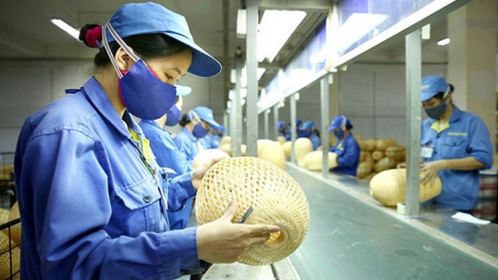 EC đồng ý gia hạn đăng ký mã số REX đến hết 2020