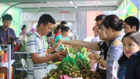 Xúc tiến tiêu thụ, xuất khẩu sản phẩm nhãn Sơn La