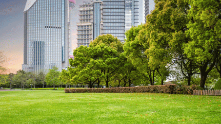 Xu hướng Khách sạn xanh