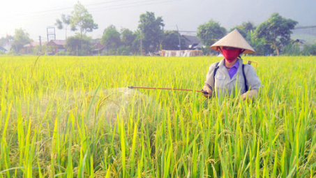 Quốc hội sẽ quyết việc sửa thuế giá trị gia tăng phân bón vào tháng 3/2021