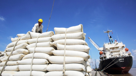 Xuất khẩu gạo Việt Nam sang thị trường châu Phi tiếp tục tăng