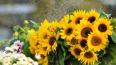 Thời tiết 12-8: Bắc bộ tiếp tục nắng nóng trên diện rộng