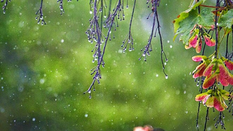 Thời tiết 15-8: Mưa dông khắp cả nước ngày cuối tuần