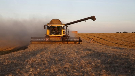 Trung Quốc cấm nhập khẩu lúa mạch từ Australia