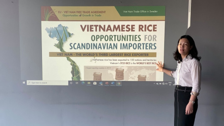 Thương vụ Việt Nam tại Thụy Điển: “Mở đường” cho hàng Việt xuất khẩu, tận dụng cơ hội từ EVFTA