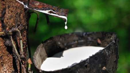 Nhiều hãng ô tô phục hồi sản xuất đẩy giá cao su tăng tại các thị trường châu Á