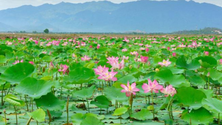 Nghiên cứu các yếu tố tác động đến ý định tham gia vào quản lý du lịch cộng đồng của người dân địa phương: Nghiên cứu điển hình tại vùng Đồng Tháp Mười