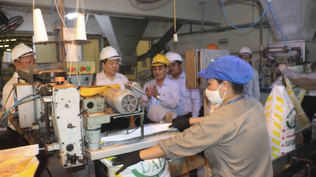 Bảo đảm 5 tiêu chí, DAP-1 Hải Phòng được đề xuất đưa ra khỏi diện theo dõi, xử lý